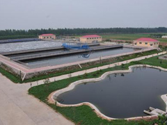 宝坻区农村污水处理与改造.jpg
